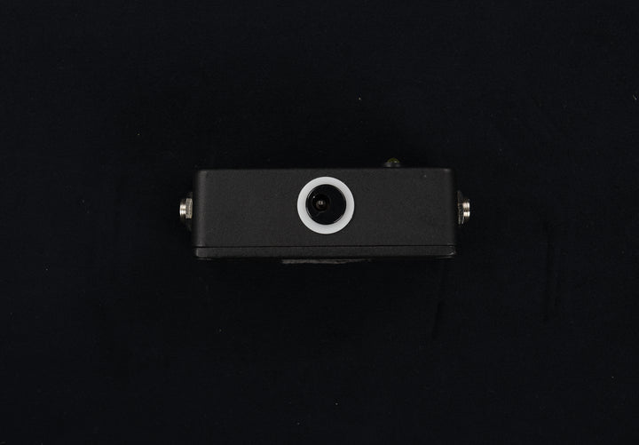 Little Black Buffer, Recent