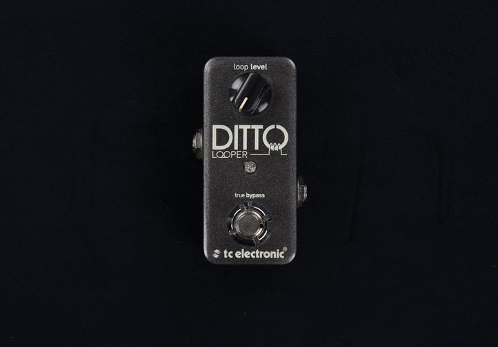 Ditto Looper, Recent