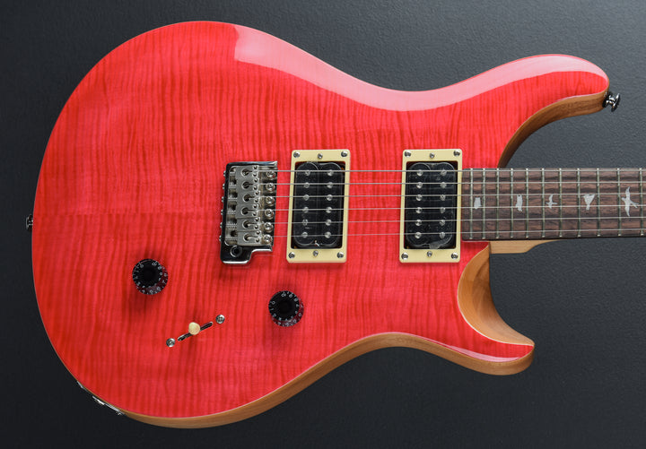 SE Custom 24 &