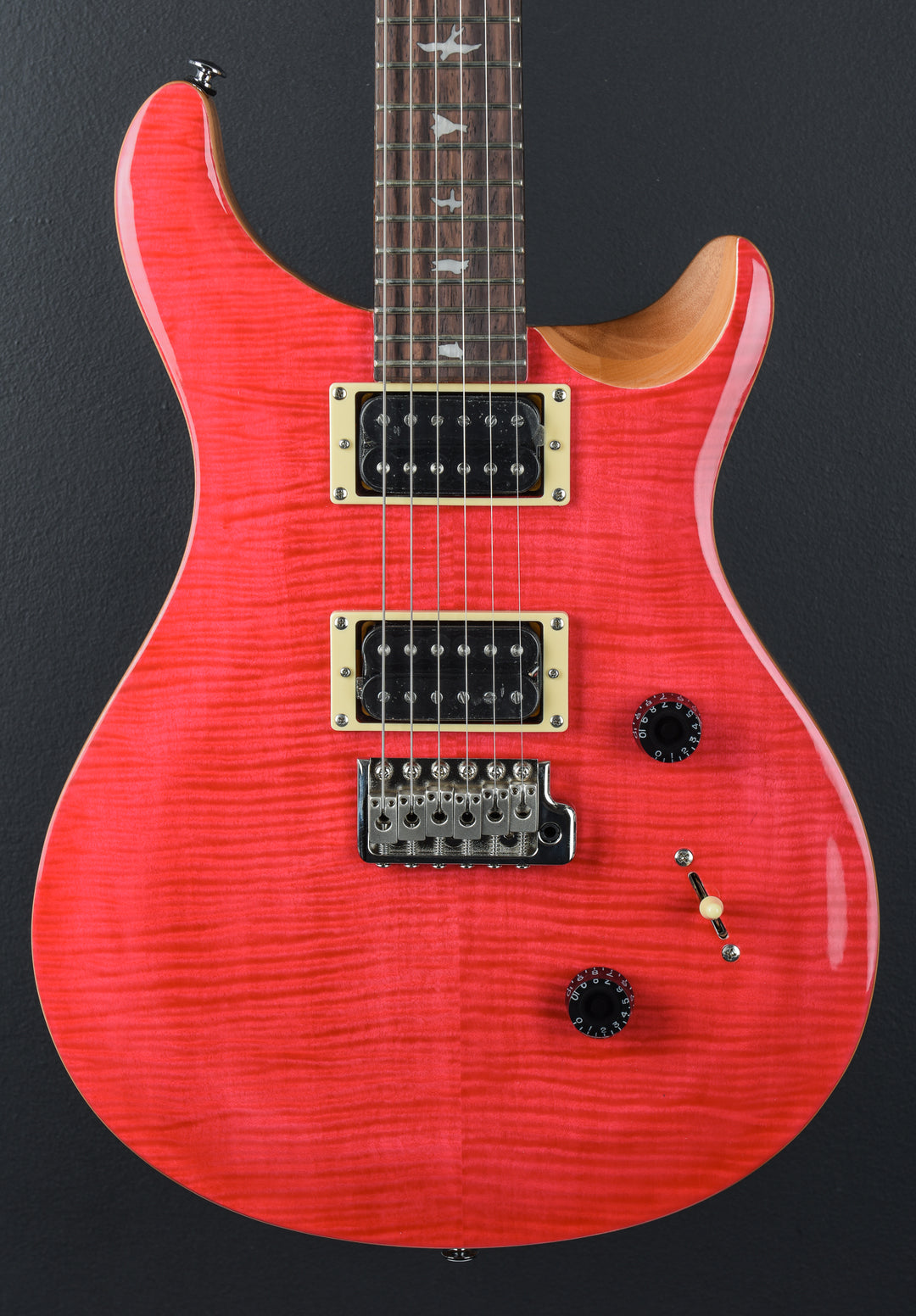 SE Custom 24 &
