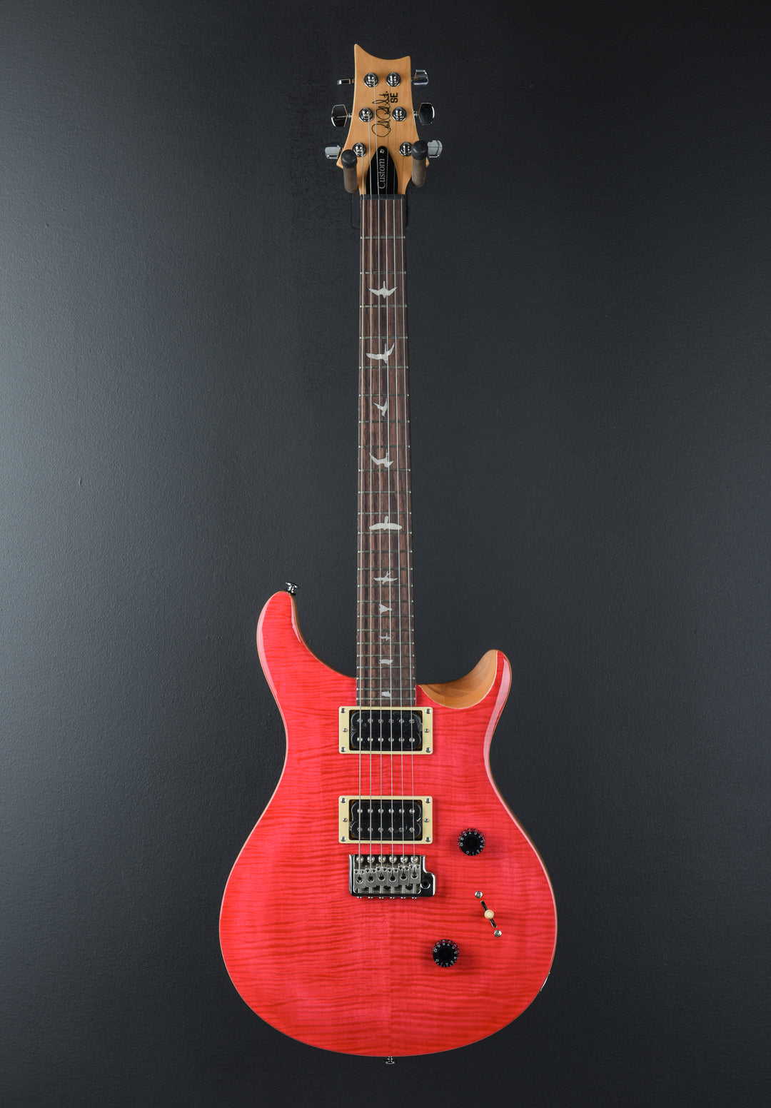 SE Custom 24 &