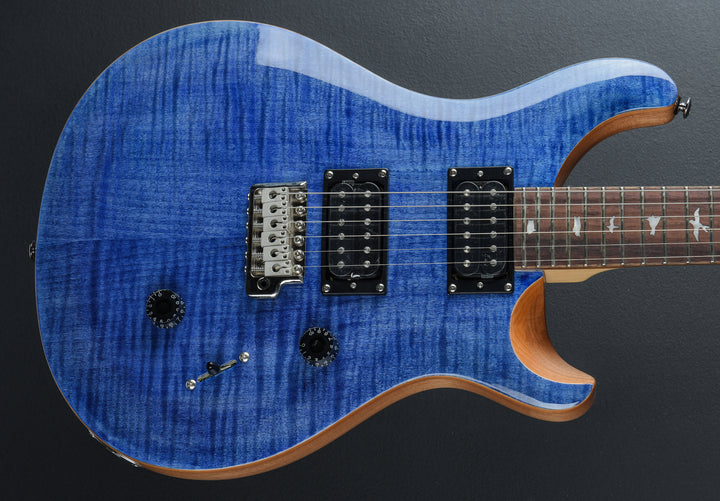 SE Custom 24 &