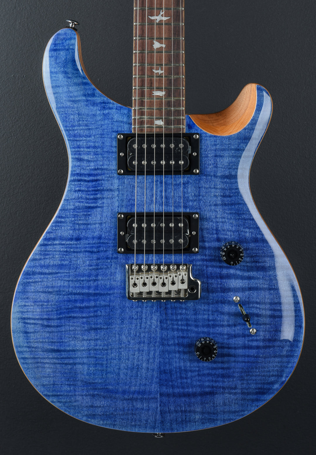 SE Custom 24 &