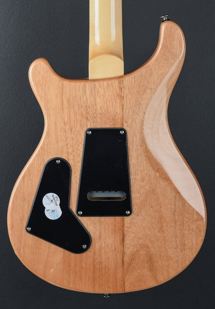 SE Custom 24 &