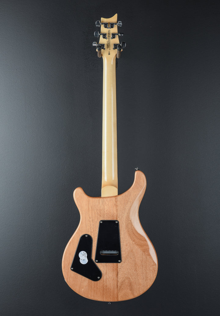SE Custom 24 &