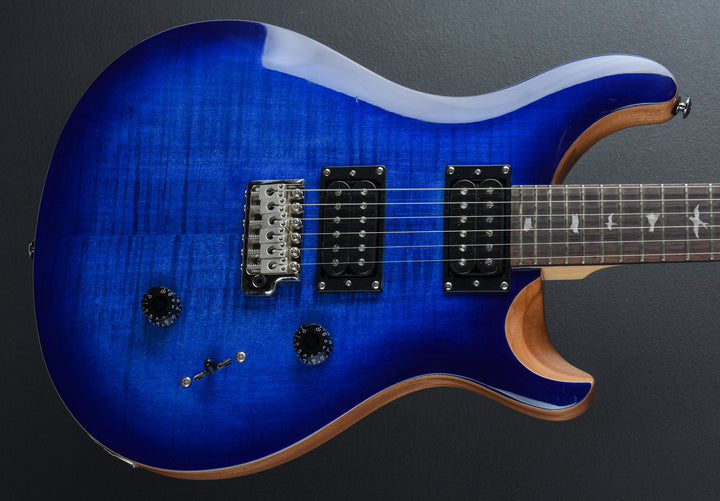 SE Custom 24 &