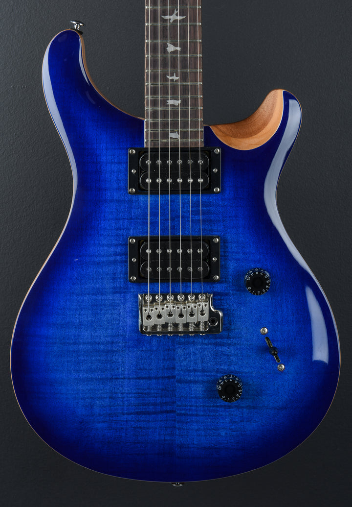 SE Custom 24 &
