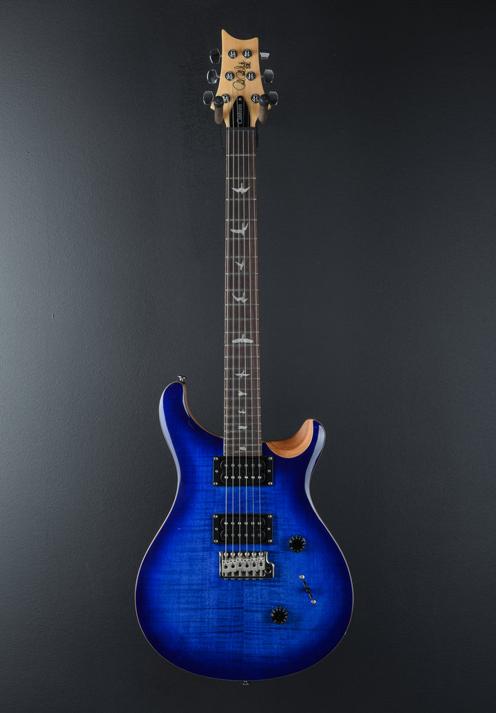 SE Custom 24 &