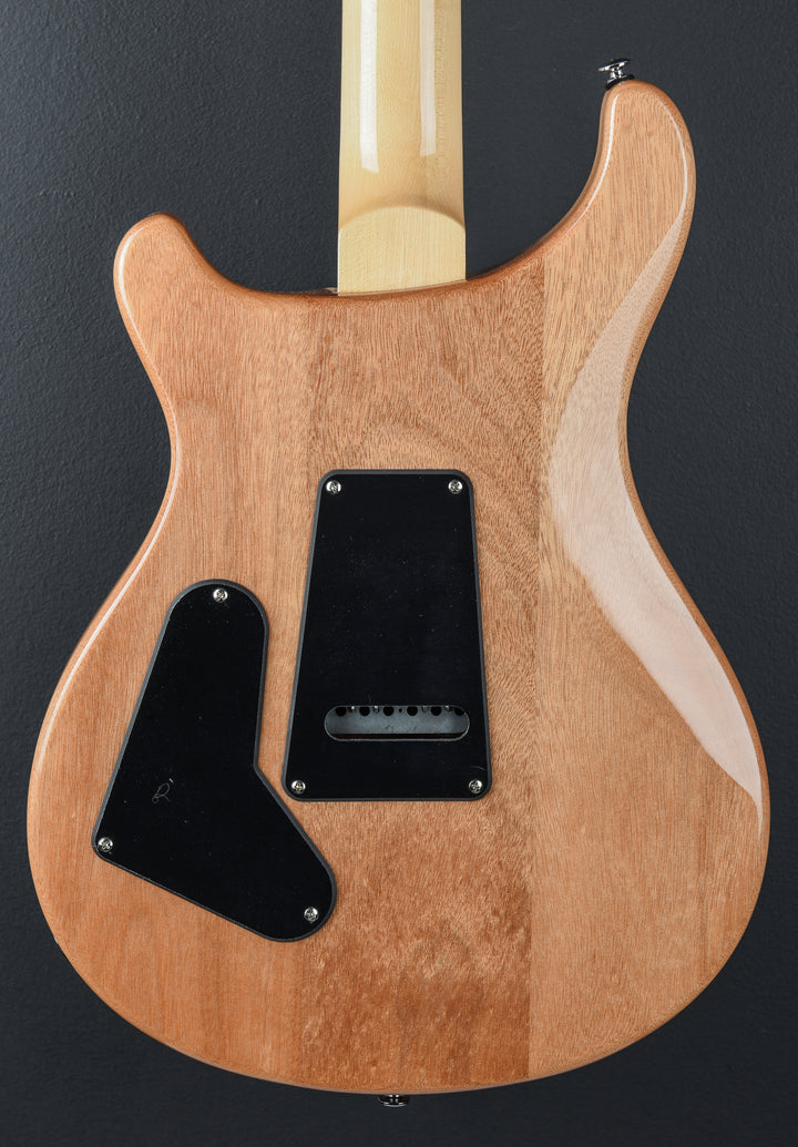 SE Custom 24 &
