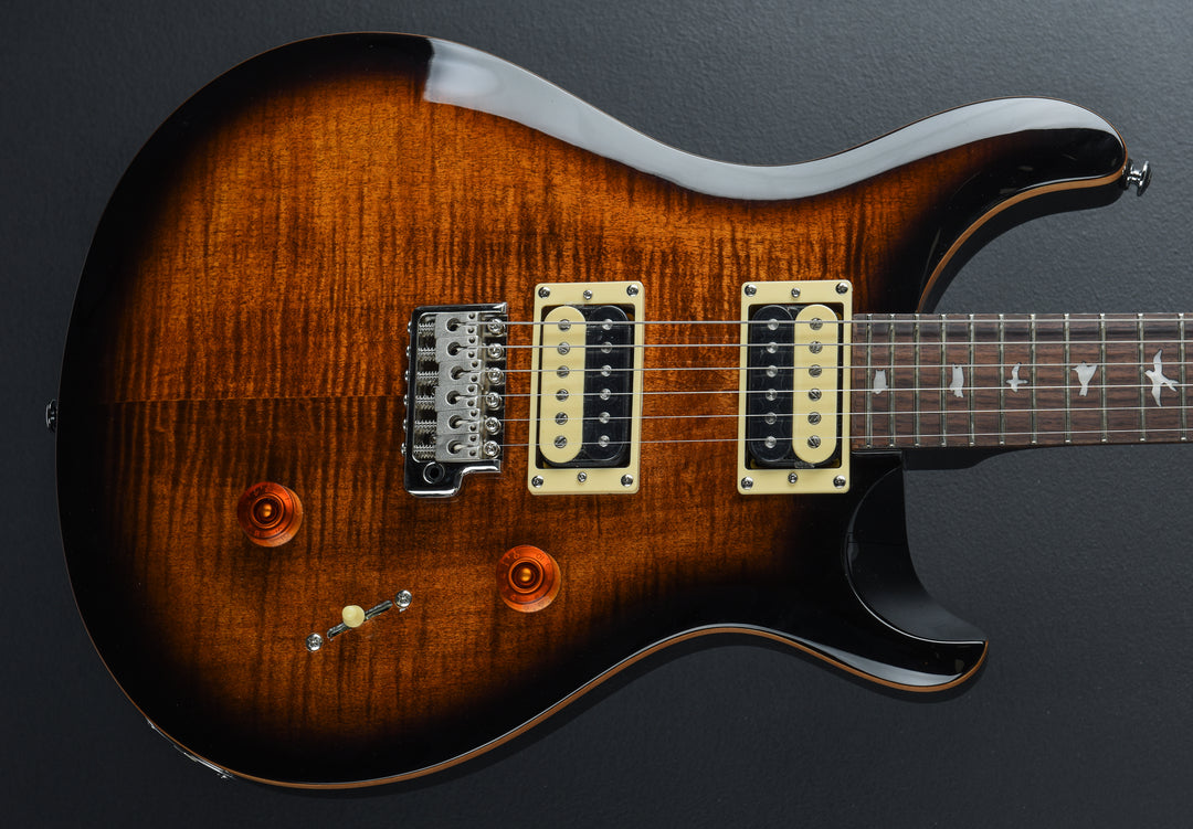 SE Custom 24 &
