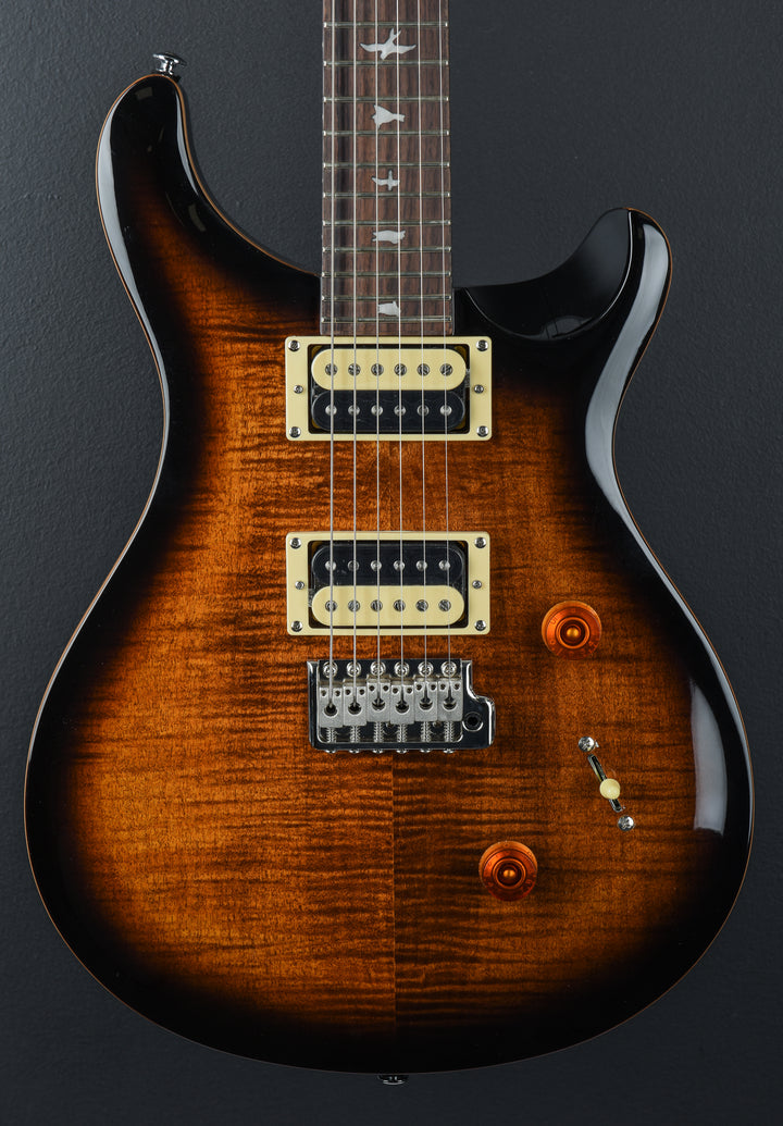 SE Custom 24 &