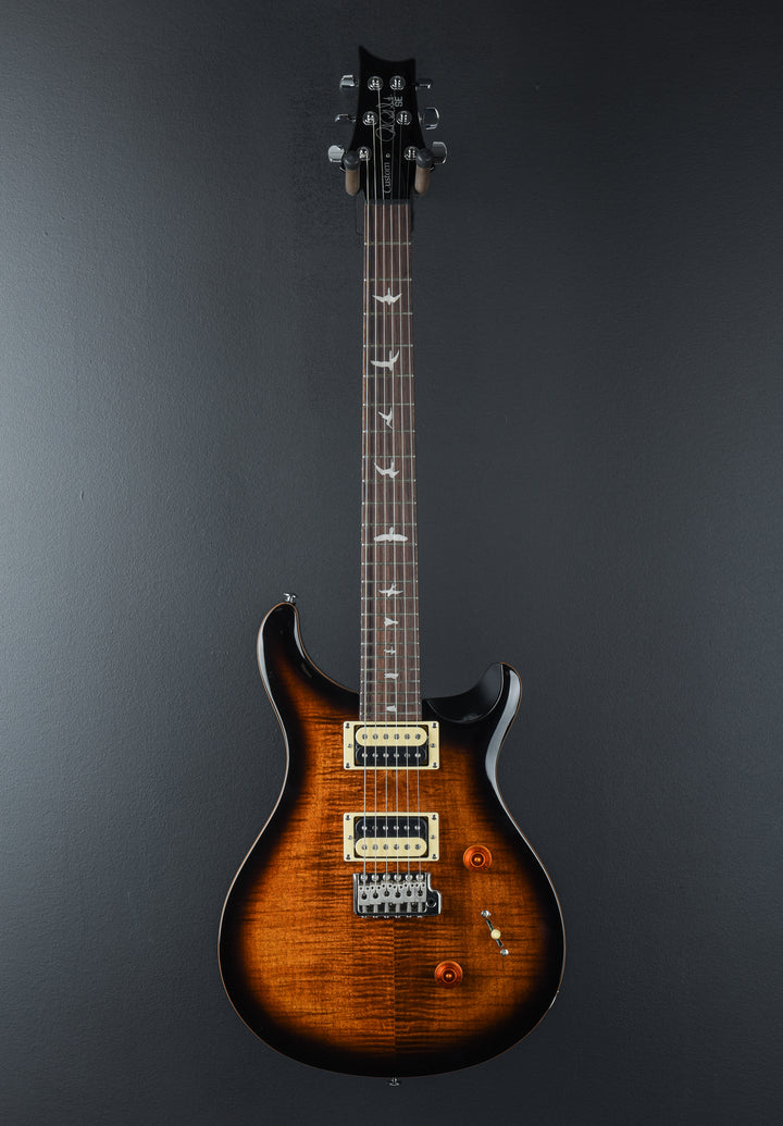 SE Custom 24 &