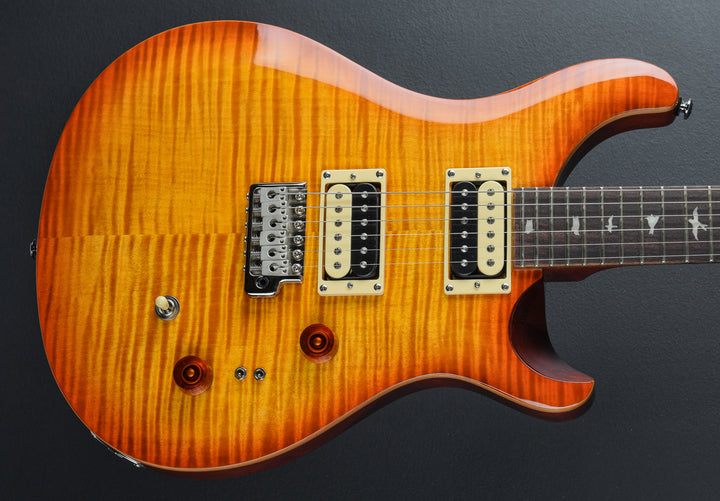 SE Custom 24-08 &