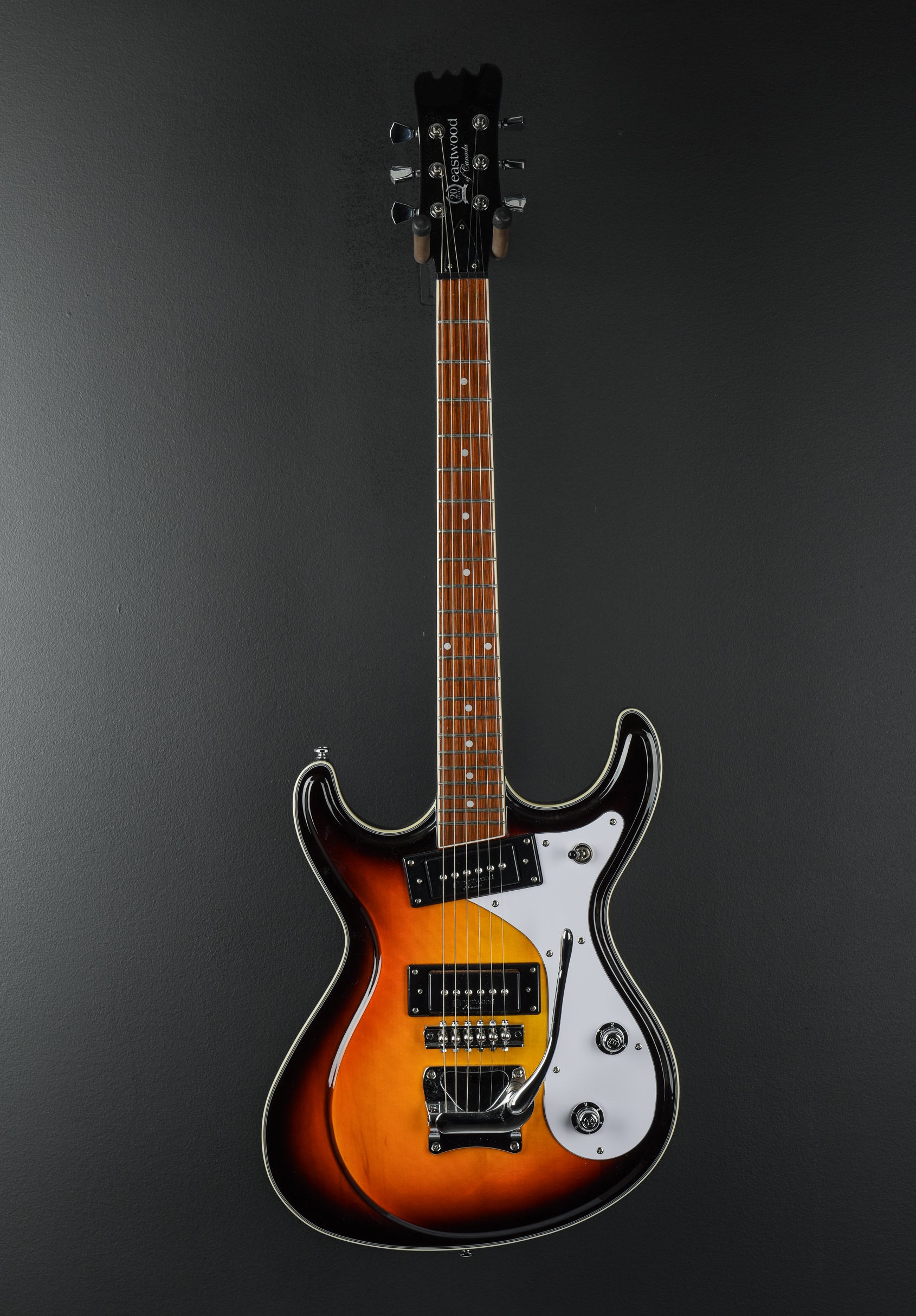 Sidejack DLX 20th Anniversary LTD '23 – Dave's Guitar Shop