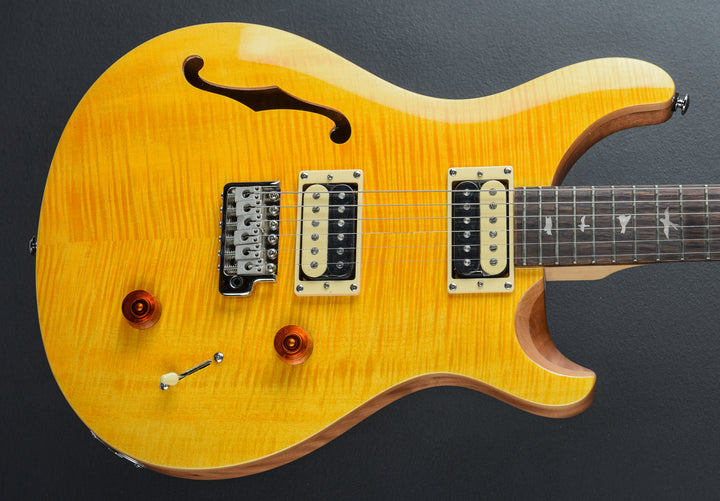 SE Custom 22 Semi-Hollow &