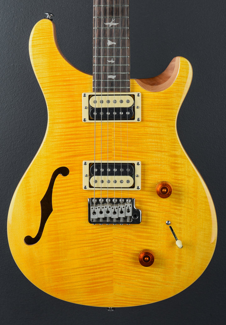 SE Custom 22 Semi-Hollow &