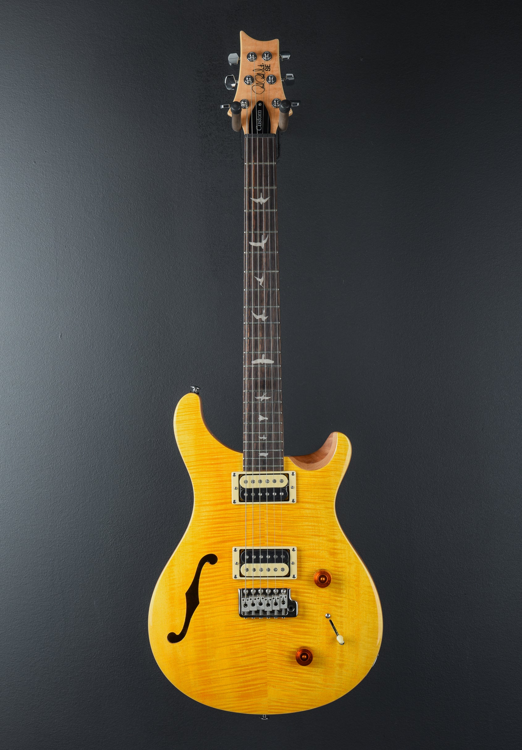 SE Custom 22 Semi-Hollow '22 – Dave's Guitar Shop