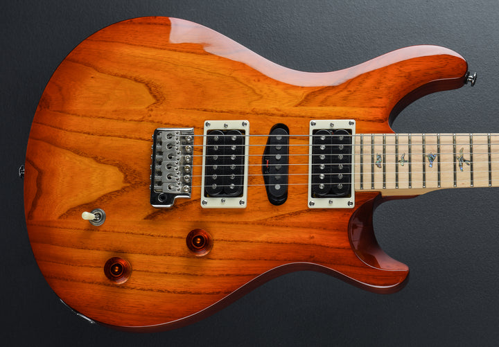 SE Swamp Ash Special &