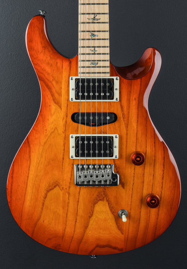 SE Swamp Ash Special &