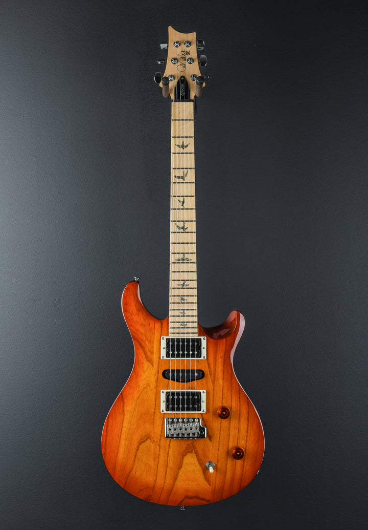 SE Swamp Ash Special &