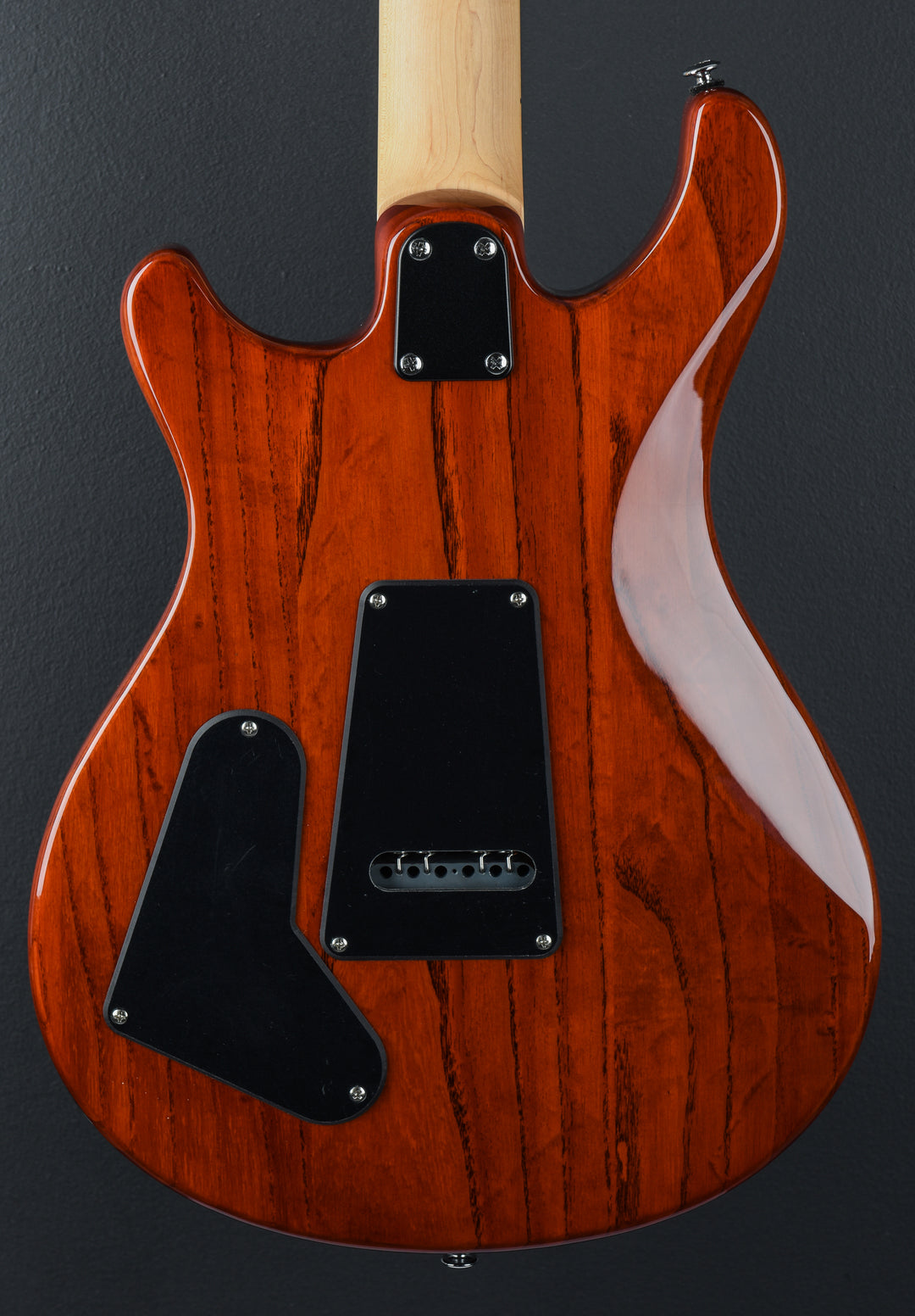 SE Swamp Ash Special &