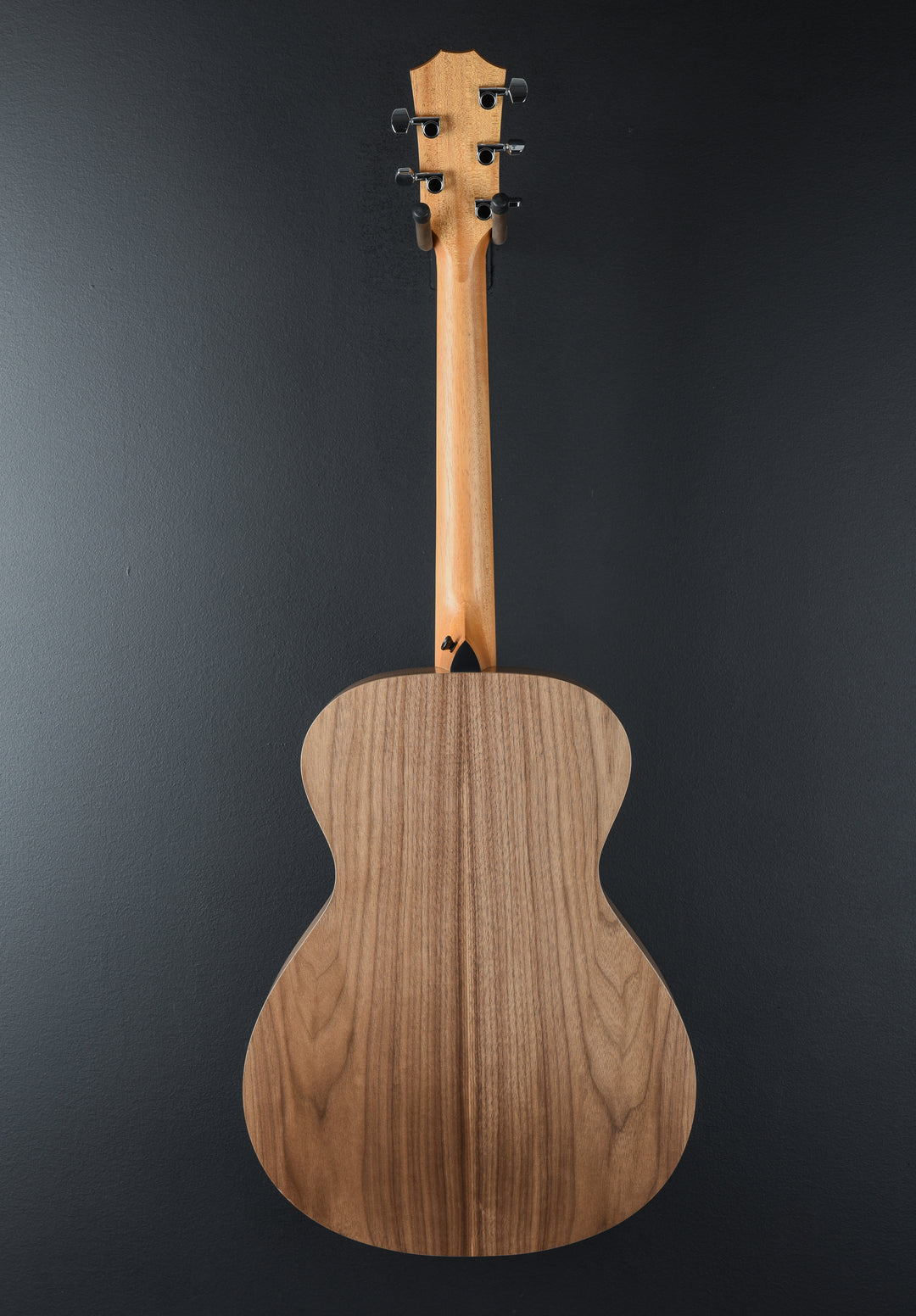 USED Jacob Collier Academy 22e 5-String &
