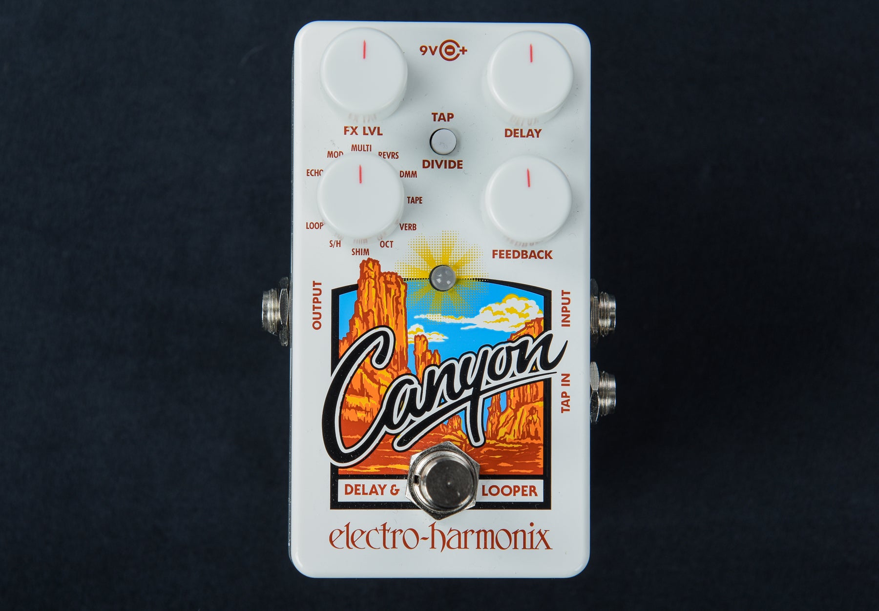 canyon pedale Canyon Delay & Looper '23 – Dave's Guitar Shop