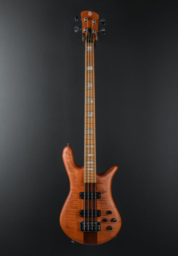 Euro 4 RST - Sienna Stain Matte