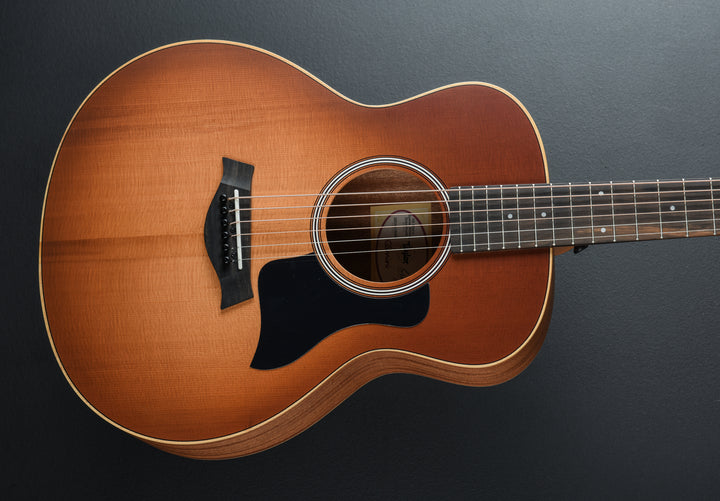 Used GS Mini-E Special Edition &