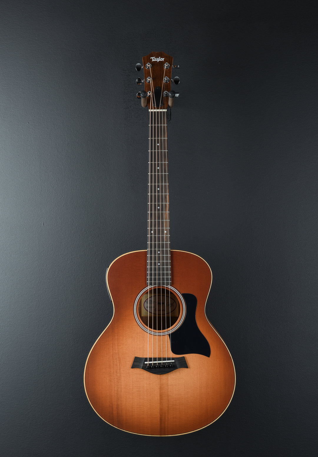 Used GS Mini-E Special Edition &