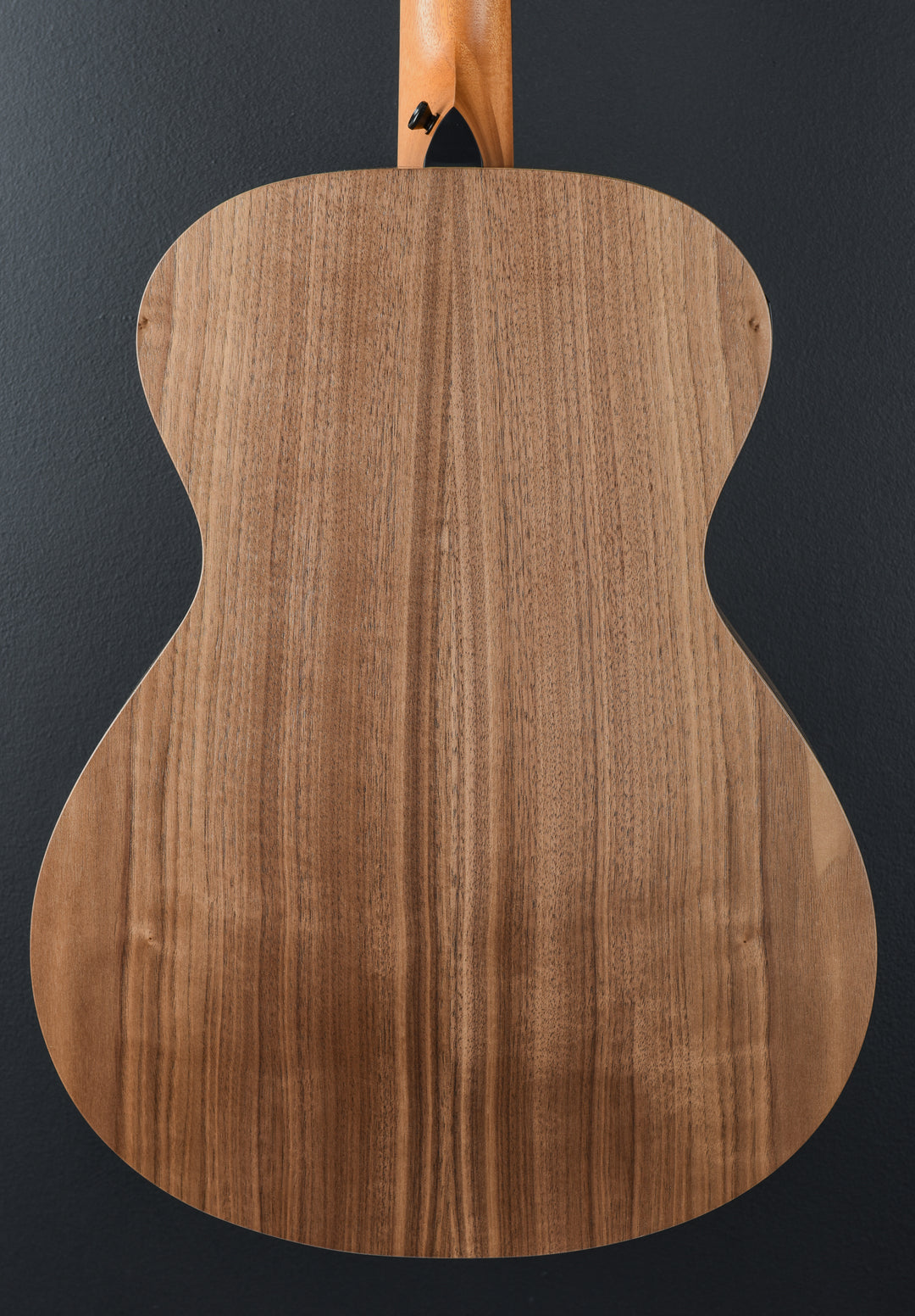 USED Academy 22E &