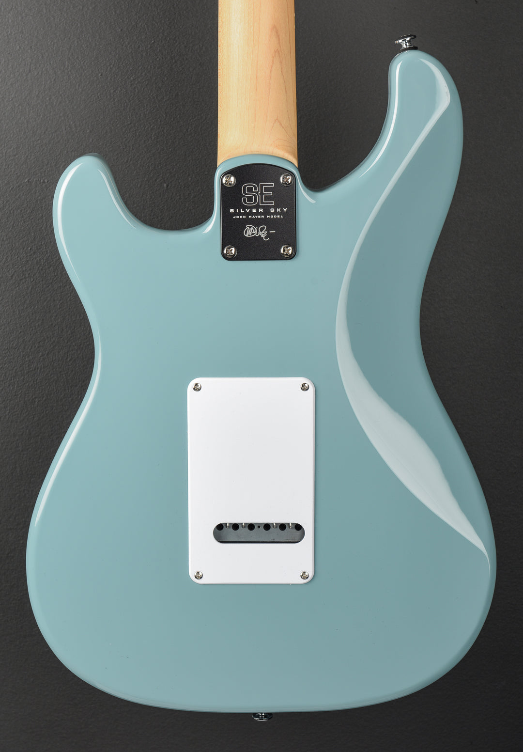 SE Silver Sky w/Rosewood, '22