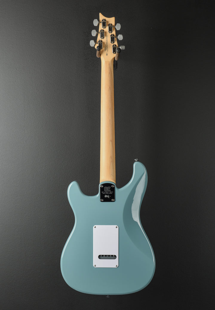 SE Silver Sky w/Rosewood, '22