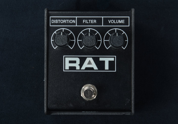 Rat 2, Recent