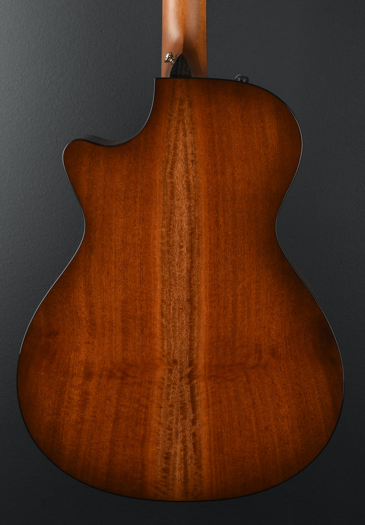 512CE - Urban Ironbark