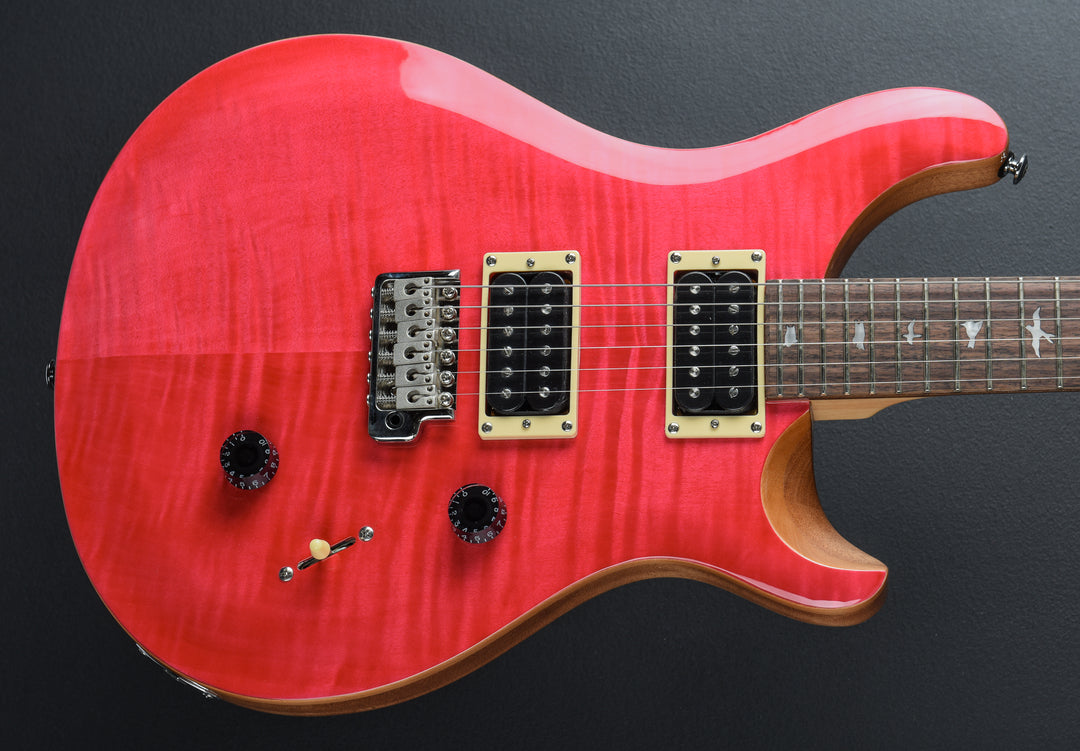 SE Custom 24 &