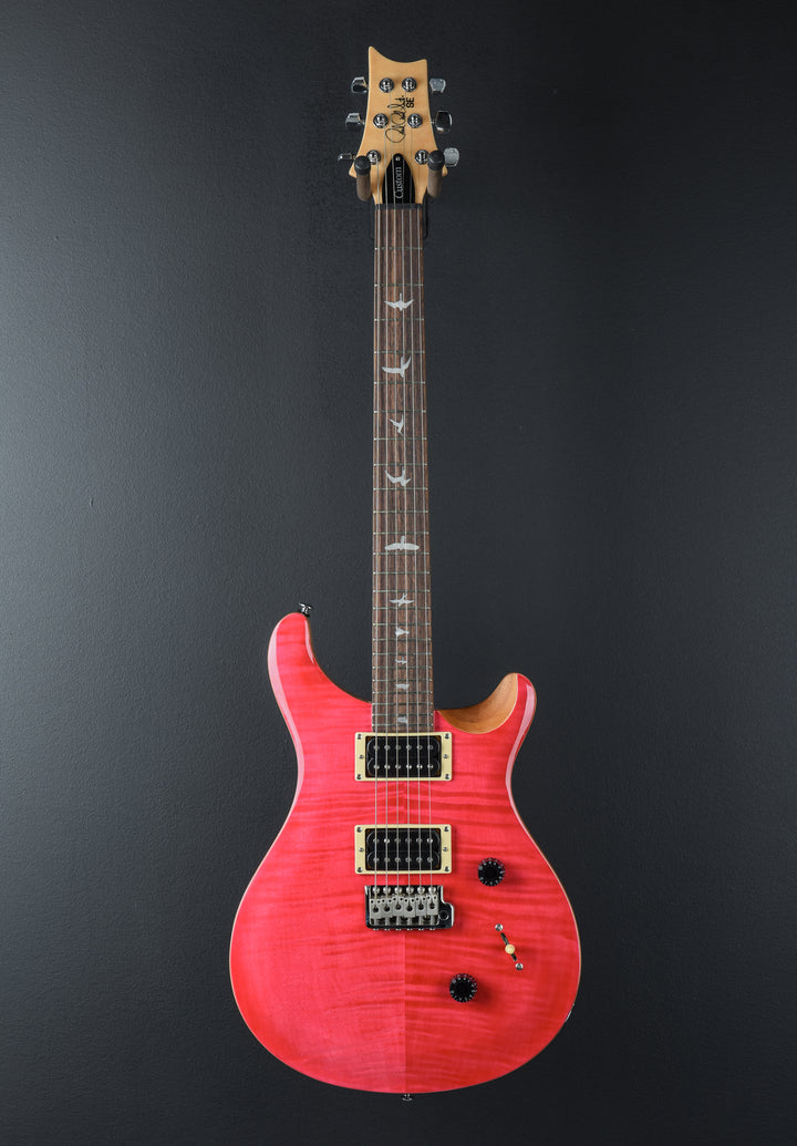 SE Custom 24 &