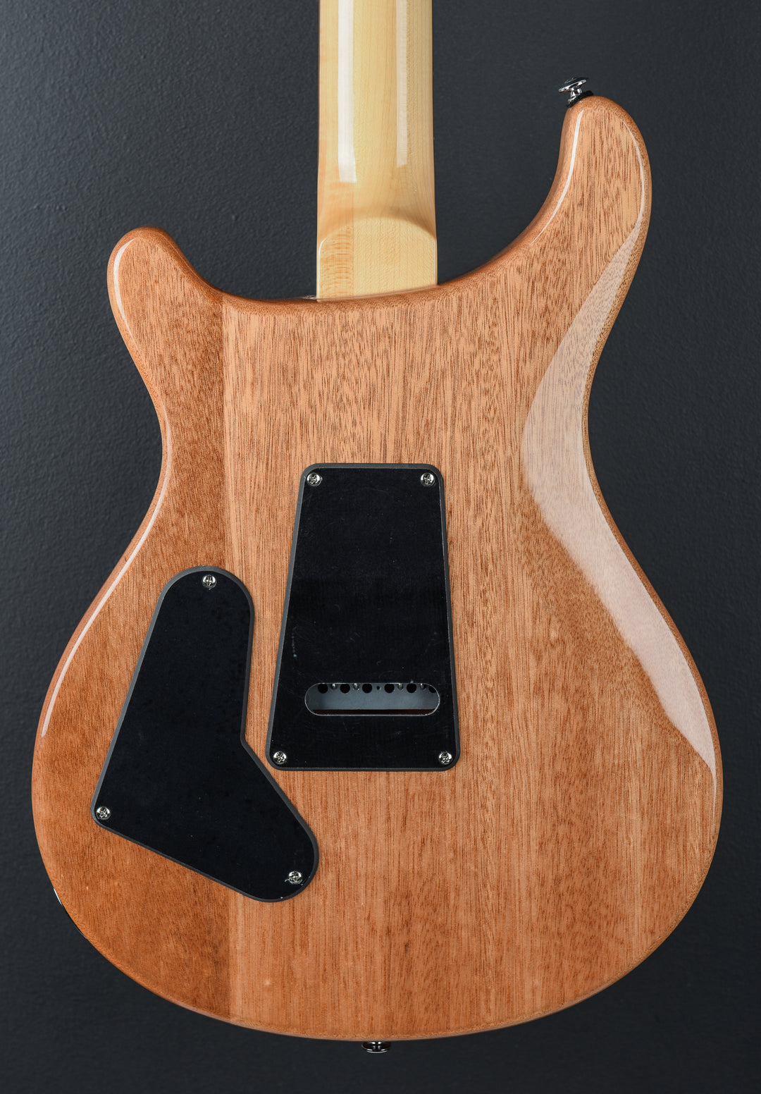SE Custom 24 &