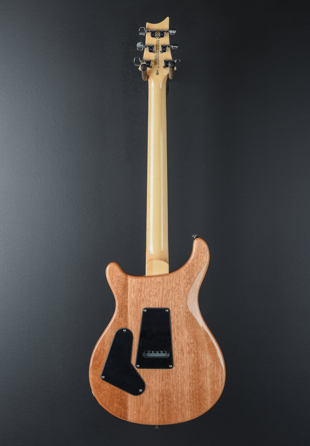 SE Custom 24 &
