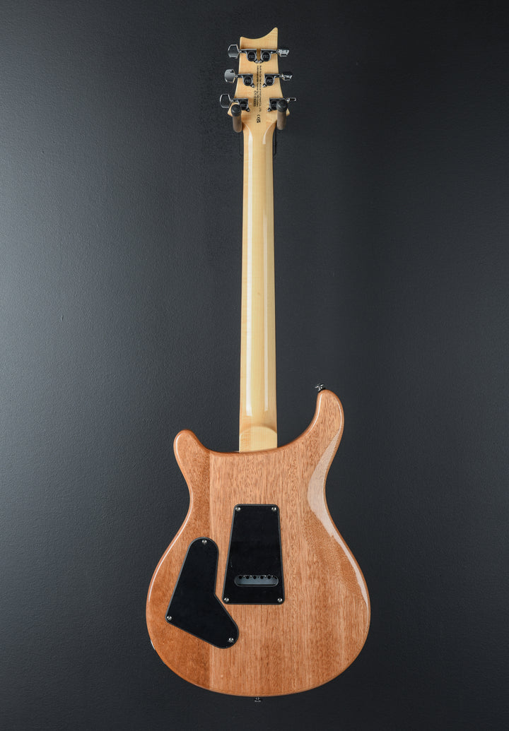 SE Custom 24 &