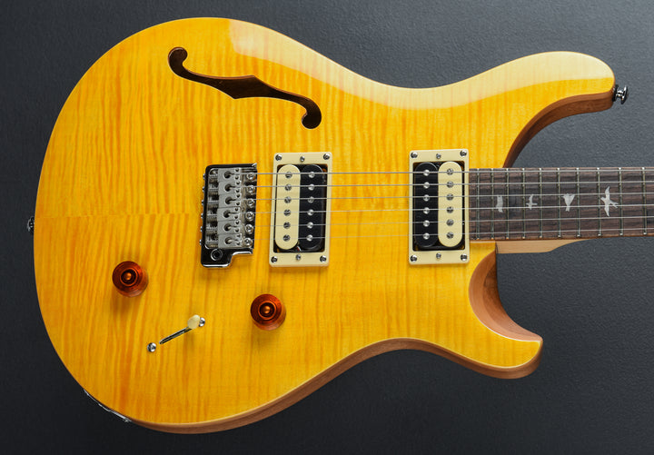 SE Custom 22 Semi-Hollow &