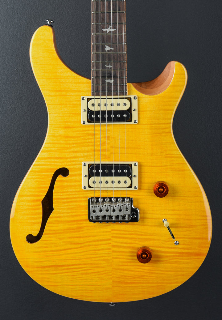 SE Custom 22 Semi-Hollow &