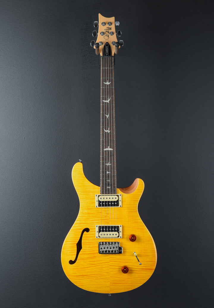 SE Custom 22 Semi-Hollow &
