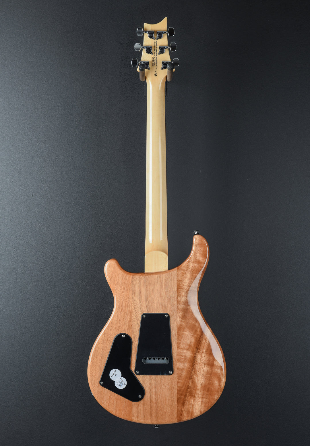 SE Custom 22 Semi-Hollow &