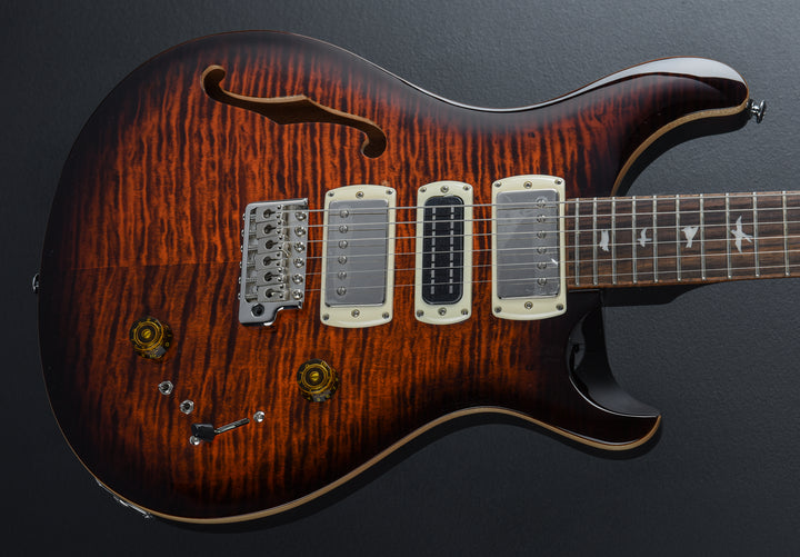 SE Special Semi Hollow, '24