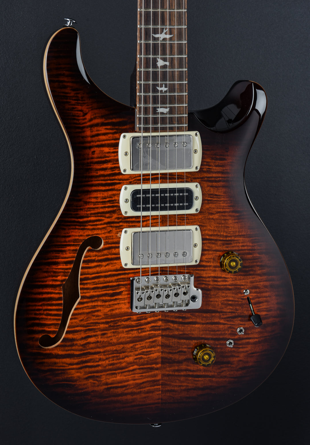 SE Special Semi Hollow, '24