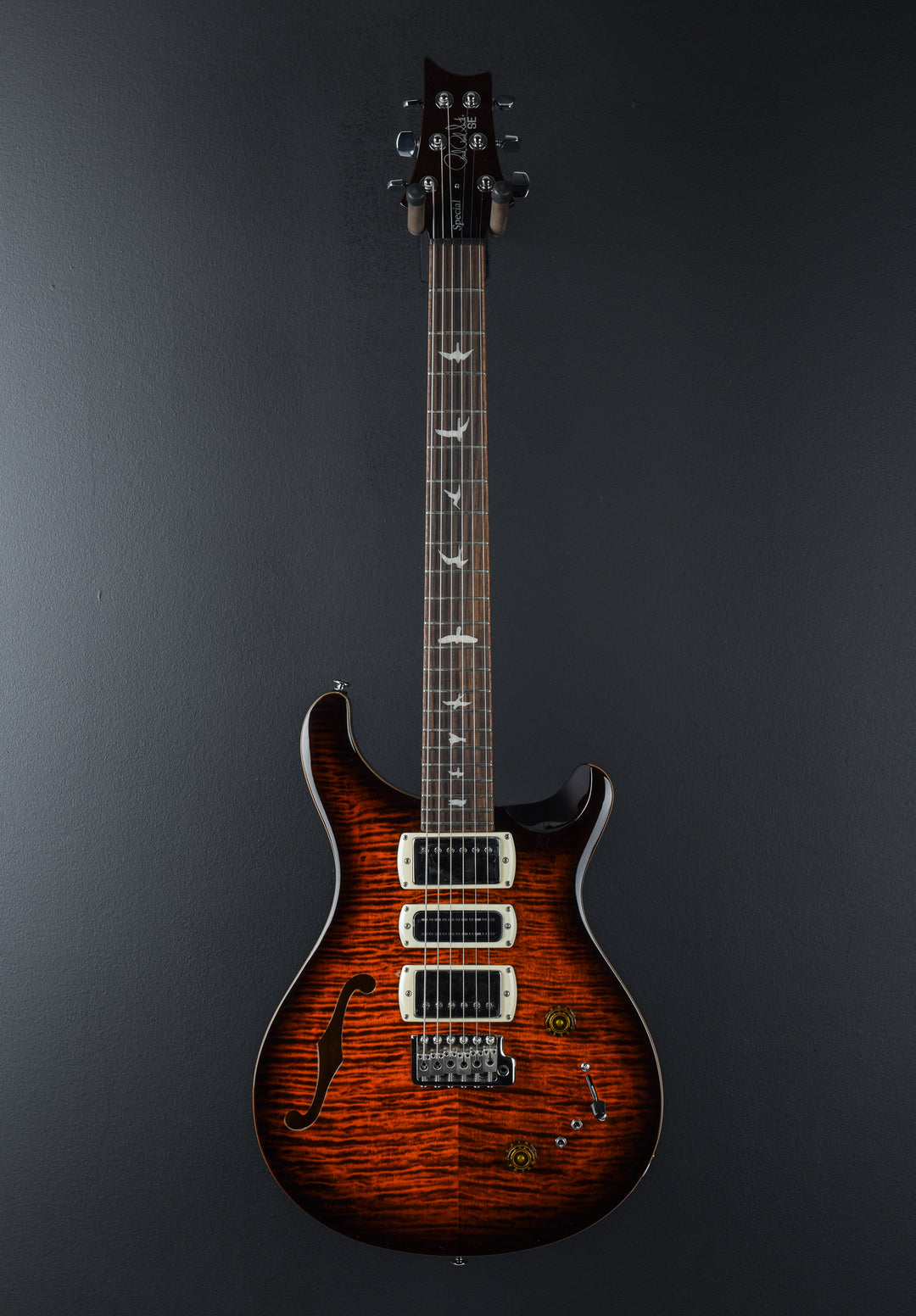 SE Special Semi Hollow, '24