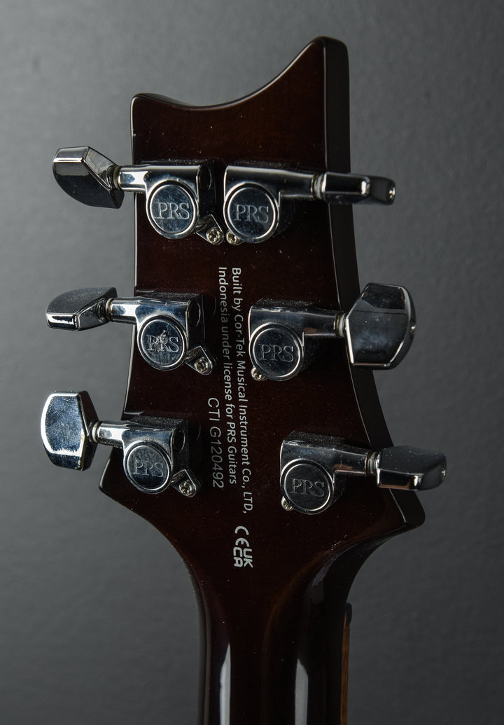 SE Special Semi Hollow, '24