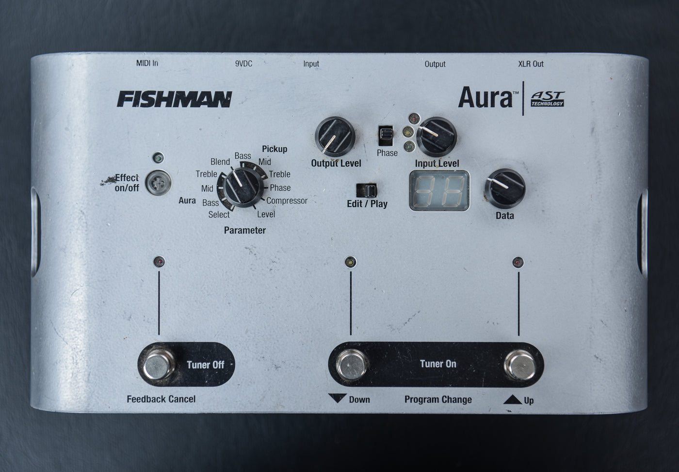 Fishman Aura 'Recent