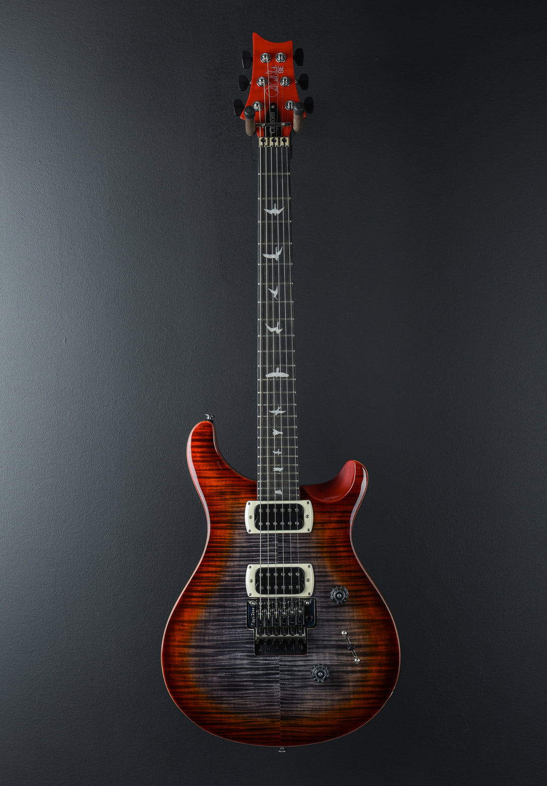 SE Custom 24 "Floyd" &